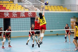 【日职】「下一个山本由伸」？美媒看好今井达也挑战MLB！｜日本职棒