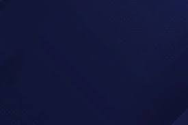 2025 年 12 月：明尼苏达双城队宣布与顶级先发投手达成 4 年续约协议