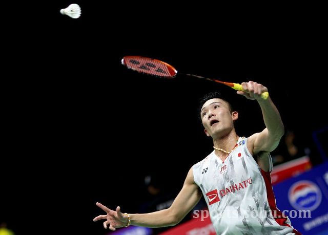 积分榜增添 积分榜增添